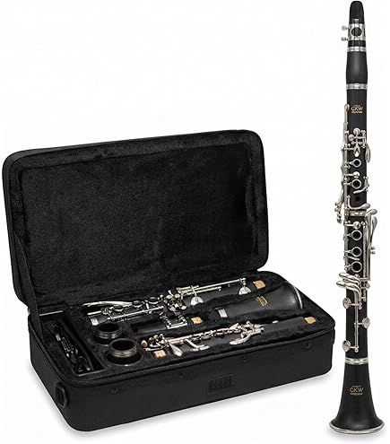 Amazon | Selmer 5015 ソプラノクラリネットケース | クラリネット